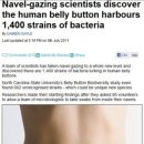 배꼽하우스 이미지