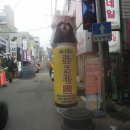 천안 이색카페 쿠니쿠니 라쿤카페 방문후기