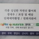 동막호