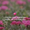 네오캣스튜디오 이미지