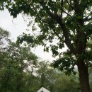 천등산캠핑장 이미지