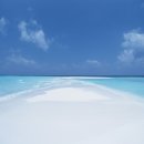 같은마음 이미지