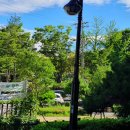 탄현체육공원 축구장 이미지