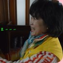 하오치경로당 Daum카페