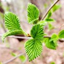 신탁행정사사무소 이미지