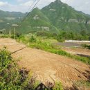 해성공인중개사사무소 이미지