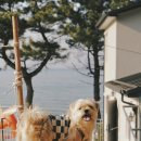 쉼표고성2 이미지