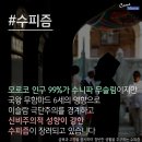 ＜Check Issue＞ 이슬람(Islam)은 누구인가? 이미지