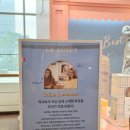 약사가 만든 순한 선스틱! 라로제 롯데월드몰점 팝업에서 백탁 없는 자외선 차단제 만나보세요