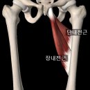 홍쌤스포츠