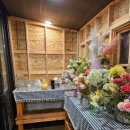 어반티지 글램핑 카라반 펜션 이미지