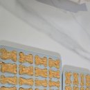 멍멍식객 이미지