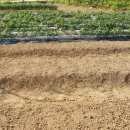 한길농부 농장 이미지