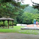 태학산자연휴양림 잔디광장 이미지