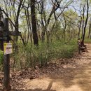 올레길 산림형 1코스 이미지