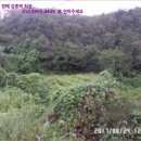 묵리주유소 이미지