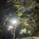아델라스튜디오 이미지