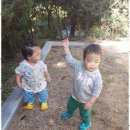 호수어린이집 이미지