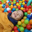 오남플라워가든