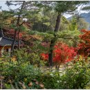 호암미술관 이미지