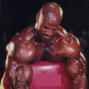 B.D Fitness 이미지