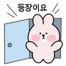컬러앤미