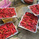 비흥농장 이미지