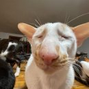 한국체대 신화멀티짐 | 여름 추억의 방울방울이