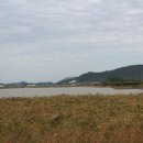 백조호수공원 이미지