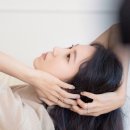 에르게 카카오 검색결과