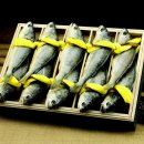 조은미트 이미지