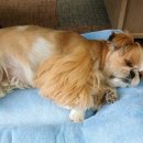 크린공인중개사사무소 이미지