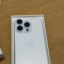 2025년 3월 넷째 주간일기 - 보문 카페 아틀리에 하모니, 보문 카페 콜렉트 마이 페이보릿
