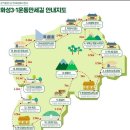 운동만세