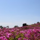 들꽃필무렵