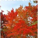 행정사사무소 제안 이미지