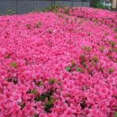 글로벌(GLOBAL) 행정사 사무소 이미지