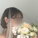 디어 문 뷰티