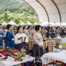 정금마을 차밭 앞 이미지