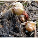 돌석도예박물관 이미지