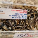 부산펫(주) 이미지