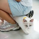 테이블에이 이미지