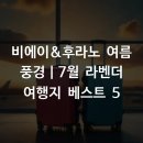 비에이&amp;후라노 여름 풍경｜7월 라벤더 여행지 베스트 5