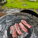 도일로 (지선1)2 | 평택 야외바베큐 포레스트 도일 내돈내산 후기