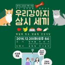 제6차 경기반려동물문화교실(인터넷 생중계,2016.12.20일 오후 8시-9시) 이미지