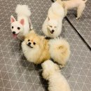 킹스유치원 이미지