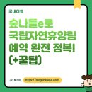 용대자연휴양림캠핑장 | 숲나들e로 국립자연휴양림 예약 완전 정복! (+꿀팁)