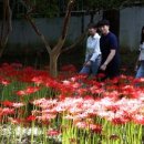 가오근린공원 이미지