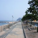 정동진역 이미지