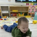 슬기어린이집 이미지